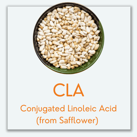 CLA (Conjugated Linoleic Acid)