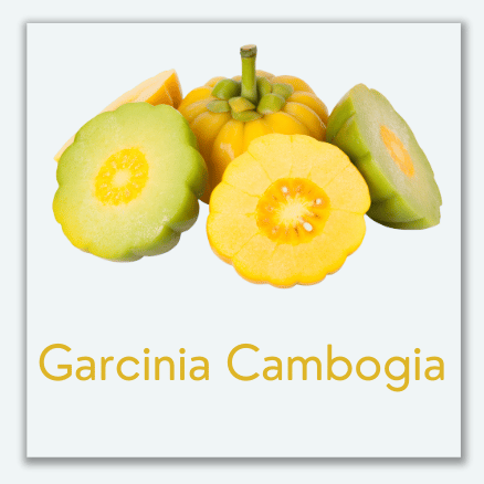 Garcinia Cambogia