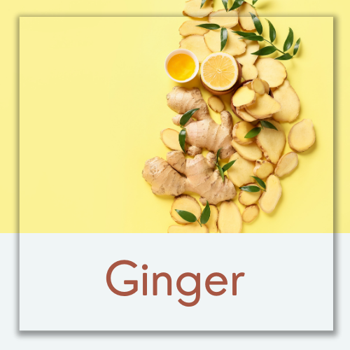 Ginger