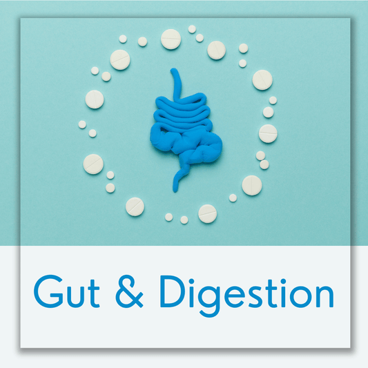 Gut & Digestion