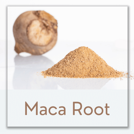 Maca Root