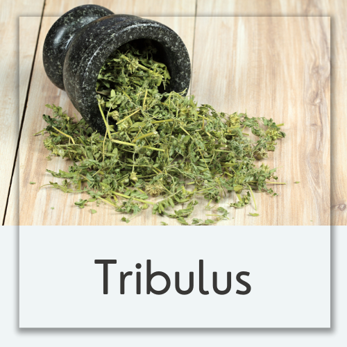 Tribulus