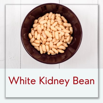 White Kidney Bean